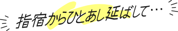 指宿からひとあし延ばして