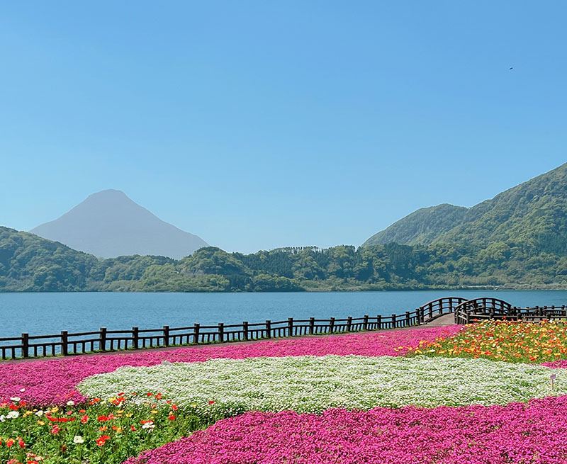 池田湖と春の花