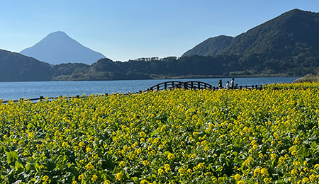 四季の花畑