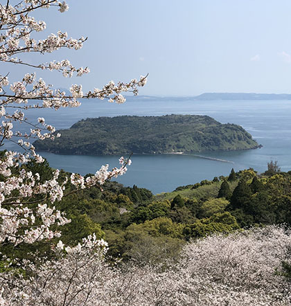 魚見岳展望台